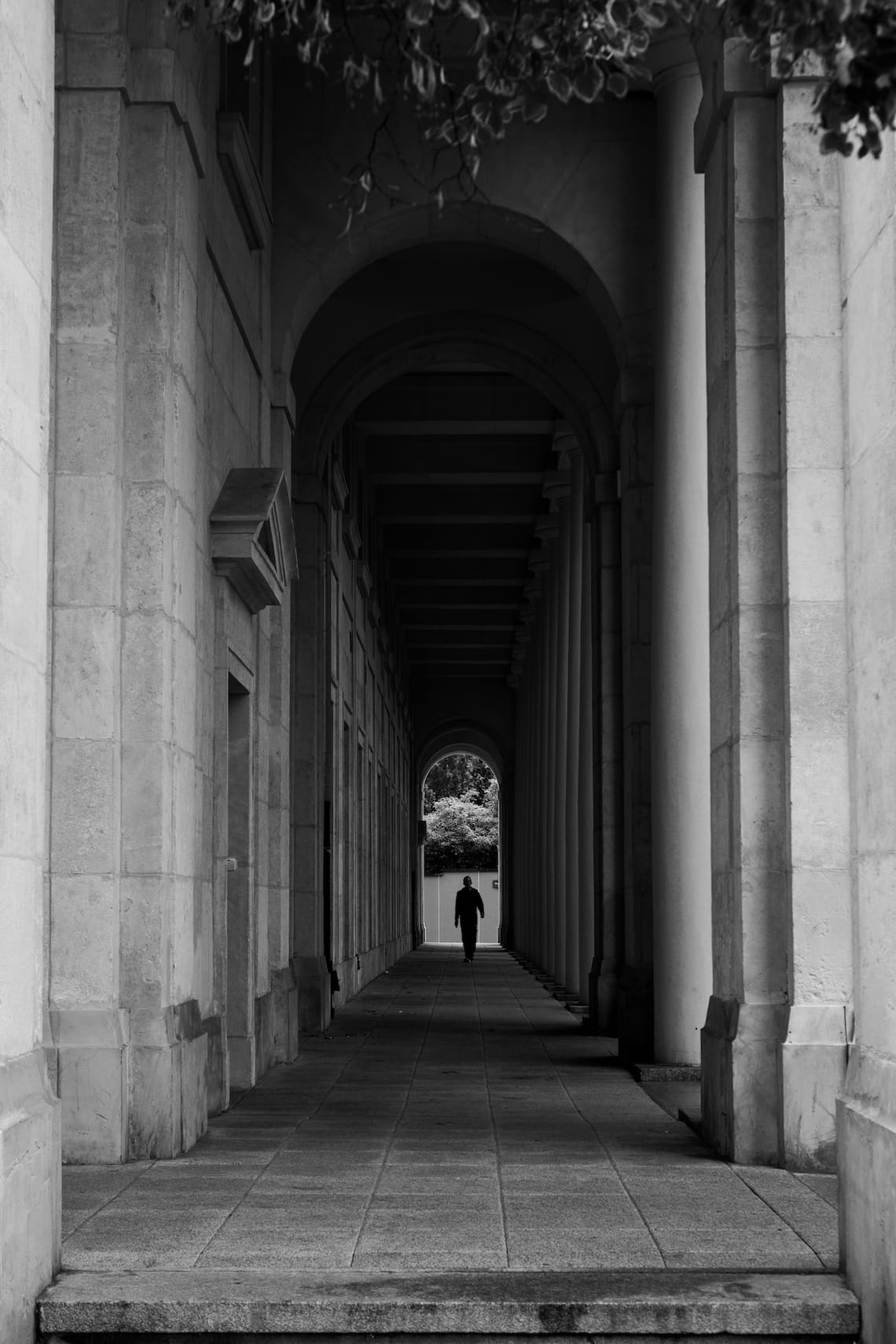 Perspective