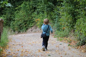 Little explorer