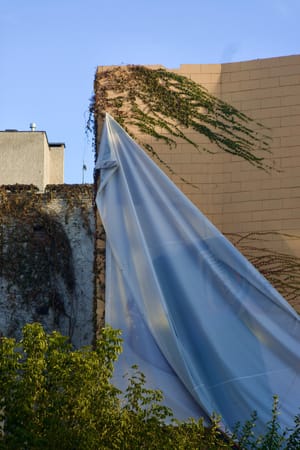 Lady in blue