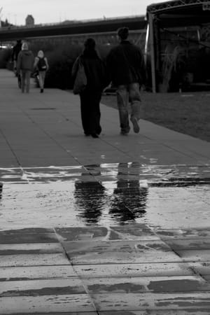 Reflection