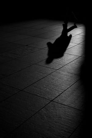 Shadow