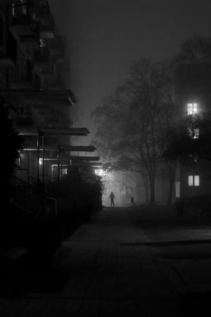 Fog